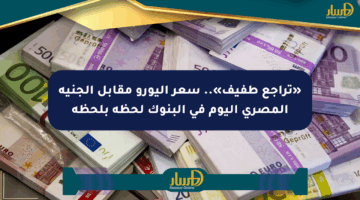«تراجع طفيف».. سعر اليورو مقابل الجنيه المصري اليوم في البنوك لحظة بلحظة